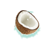 Coconut