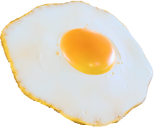 Egg